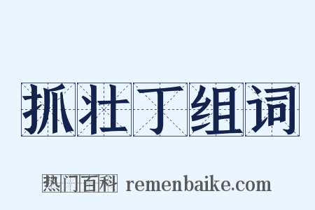 抓壮丁组词是什么意思的图片